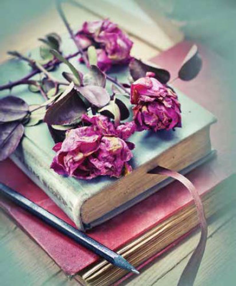 Ρόλερ με Ψηφιακή Εκτύπωση Vintage 'Books And Roses' E42