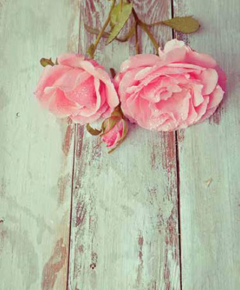 Ρόλερ με Ψηφιακή Εκτύπωση 'Vintage Flowers' E428