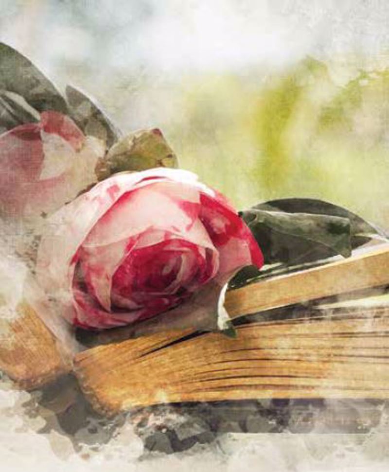 Κουρτίνες, στόρια agiovlasitishome - ΣΗΜΑΝΤΙΚΟ: Σε περίπτωση διαφοράς τιμής από το κατάστημα ισχύει παντα και μόνο η τιμή του καταστήματος Ρόλερ με Ψηφιακή Εκτύπωση 'Romantic Feeling' E430