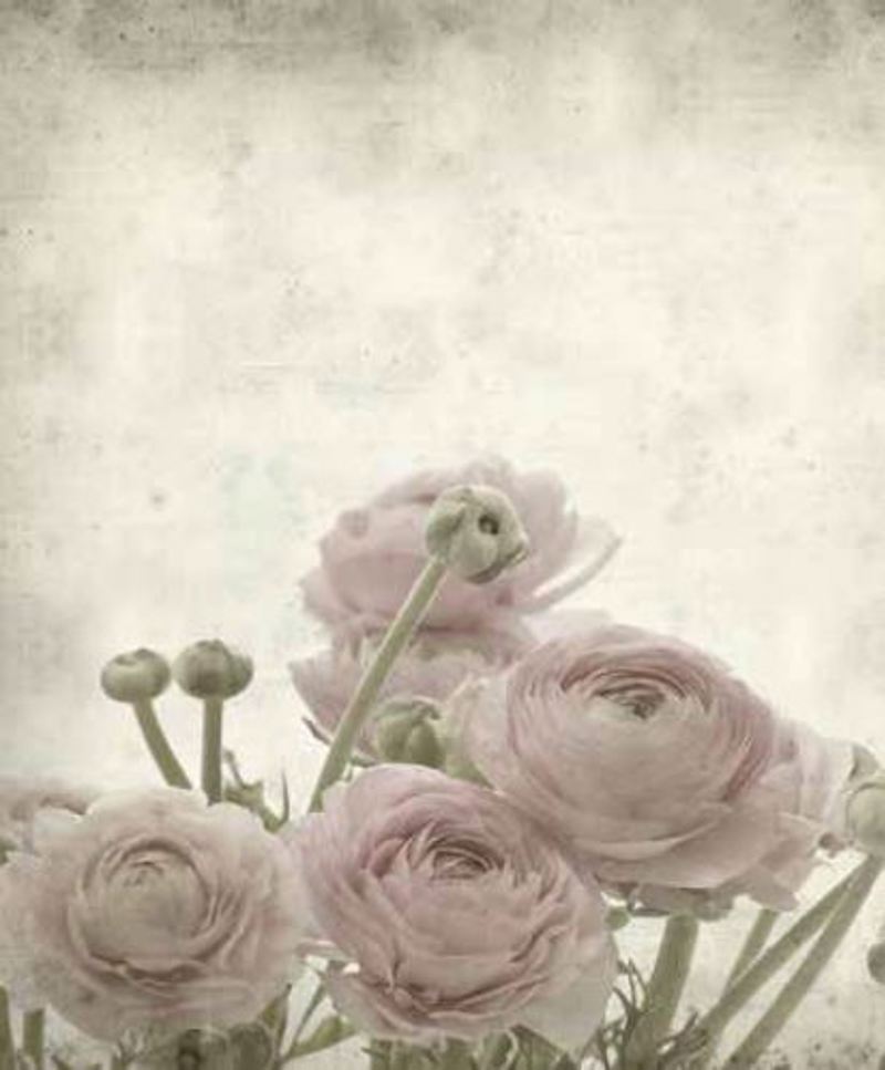 Anartisi - ΣΗΜΑΝΤΙΚΟ: Σε περίπτωση διαφοράς τιμής από το κατάστημα ισχύει παντα και μόνο η τιμή του καταστήματος Ρόλερ με Ψηφιακή Εκτύπωση 'Vintage Flowers' E434