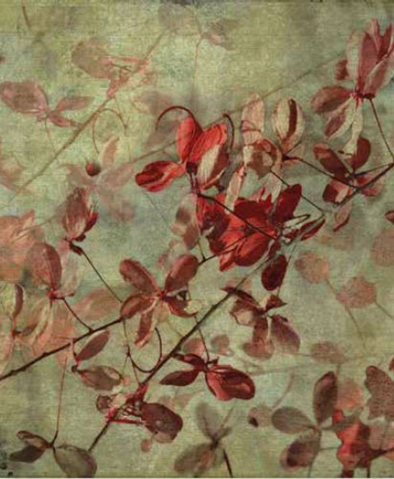 Ρόλερ με Ψηφιακή Εκτύπωση 'Retro Floral' E437