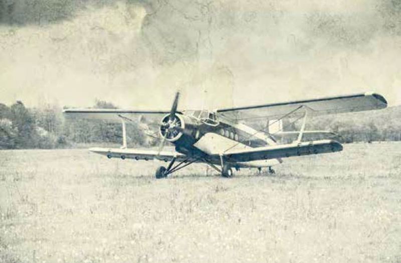 Ρόλερ με Ψηφιακή Εκτύπωση 'Vintage Biplane' E442