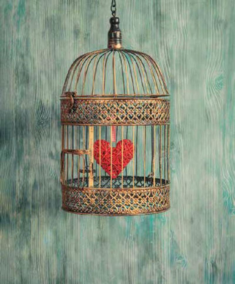 Ρόλερ με Ψηφιακή Εκτύπωση Vintage 'Golden Cage' E446