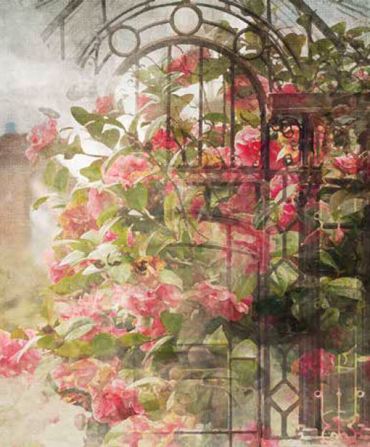 Ρόλερ με Ψηφιακή Εκτύπωση Λουλούδια 'Watercolor Flowers' E450