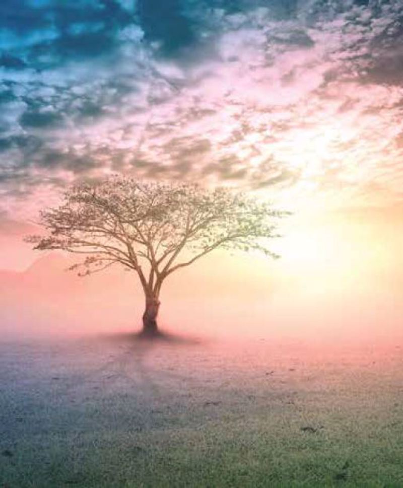 Anartisi - ΣΗΜΑΝΤΙΚΟ: Σε περίπτωση διαφοράς τιμής από το κατάστημα ισχύει παντα και μόνο η τιμή του καταστήματος Ρόλερ με Ψηφιακή Εκτύπωση 'Γη. Ουρανός Και Φύση' E465