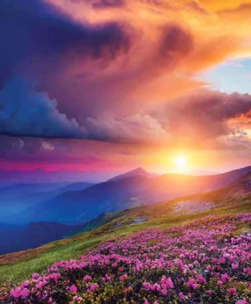 Anartisi - ΣΗΜΑΝΤΙΚΟ: Σε περίπτωση διαφοράς τιμής από το κατάστημα ισχύει παντα και μόνο η τιμή του καταστήματος Ρόλερ με Ψηφιακή Εκτύπωση 'Τα Χρώματα Της Φύσης' E468