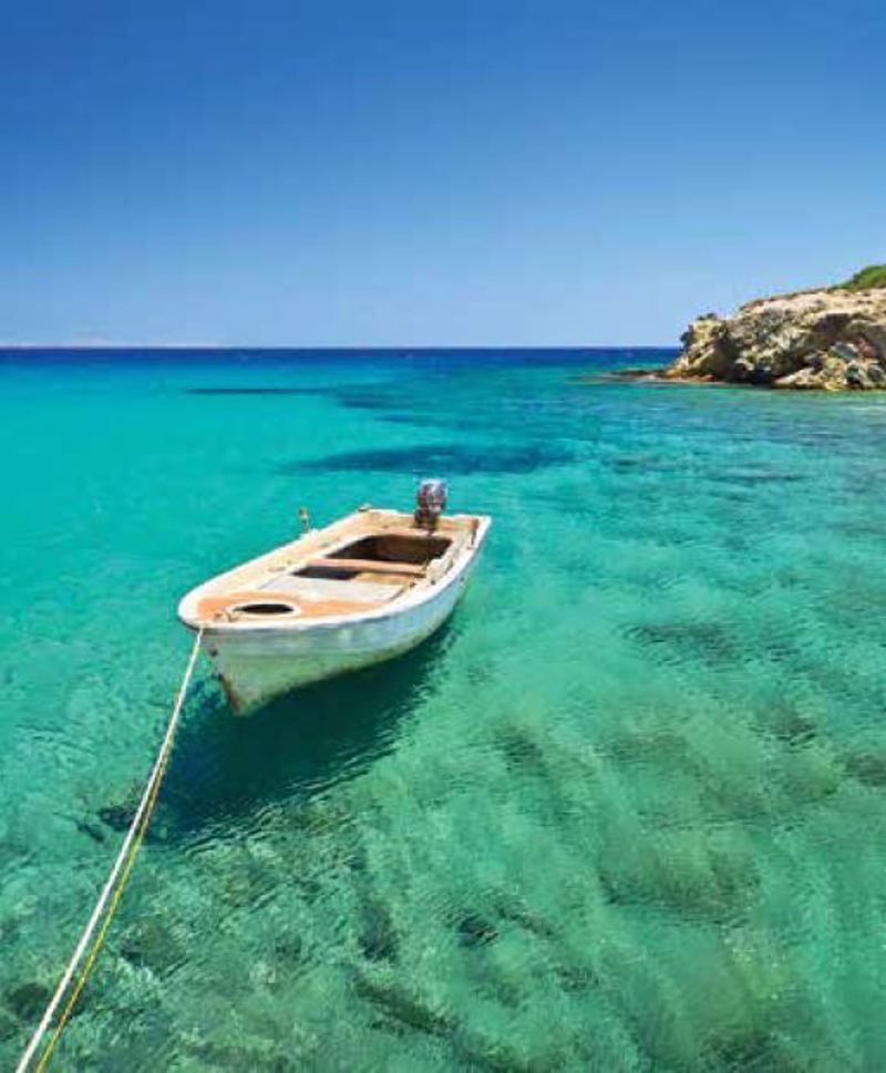 Ρόλερ με Ψηφιακή Εκτύπωση 'Ψαρόβαρκα' E475