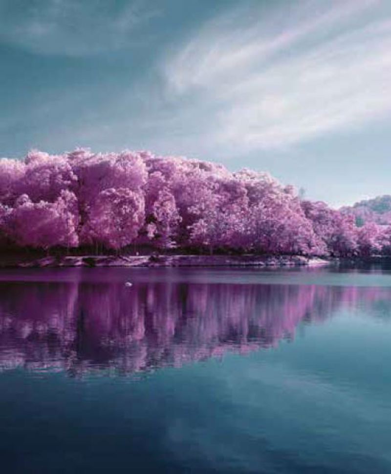 Κουρτίνες, στόρια agiovlasitishome - ΣΗΜΑΝΤΙΚΟ: Σε περίπτωση διαφοράς τιμής από το κατάστημα ισχύει παντα και μόνο η τιμή του καταστήματος Ρόλερ με Ψηφιακή Εκτύπωση 'Reflections' E476