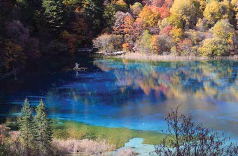 Anartisi - ΣΗΜΑΝΤΙΚΟ: Σε περίπτωση διαφοράς τιμής από το κατάστημα ισχύει παντα και μόνο η τιμή του καταστήματος Ρόλερ με Ψηφιακή Εκτύπωση 'Γαλάζια Νερά' E477