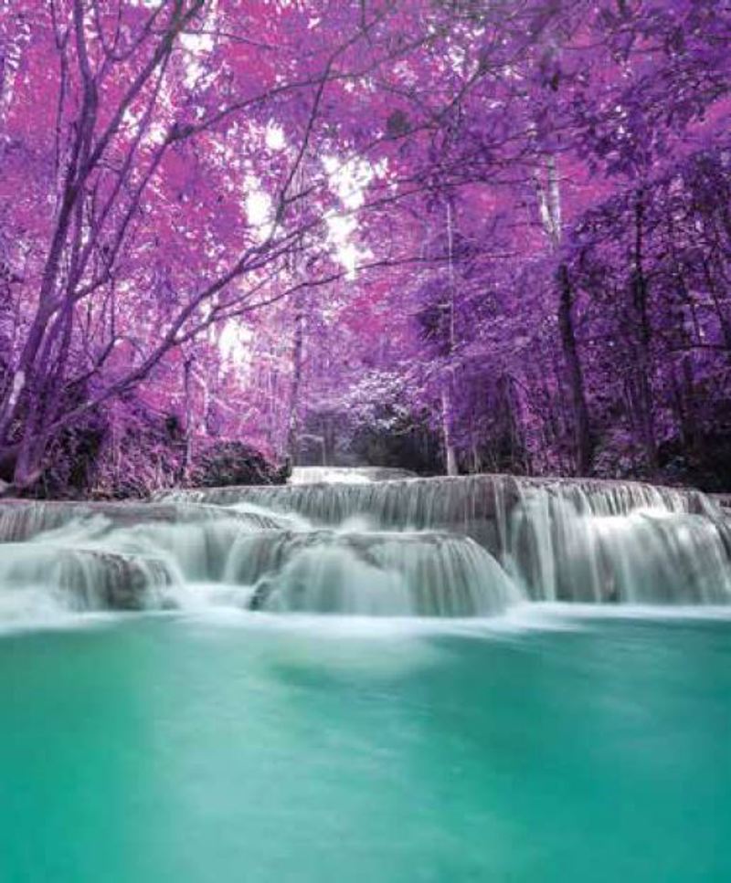 Ρόλερ με Ψηφιακή Εκτύπωση 'Forest Falls' E482