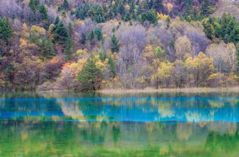 Ρόλερ με Ψηφιακή Εκτύπωση 'Lakeside' E488