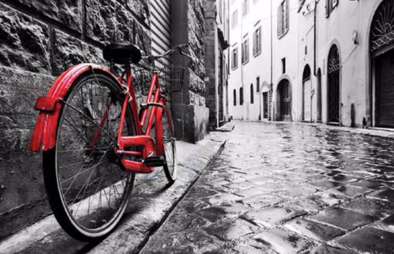 Ρόλερ με Ψηφιακή Εκτύπωση 'Red Vintage Bike' E500