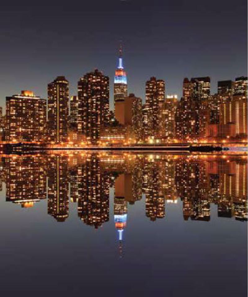 Ρόλερ με Ψηφιακή Εκτύπωση 'Manhattan Skyline' E513