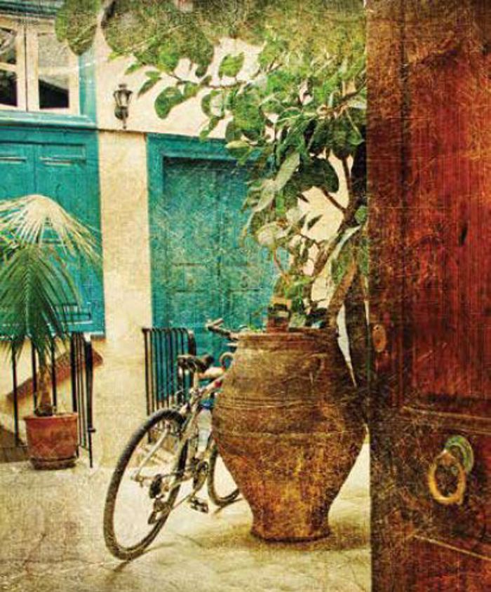 Roler me Psifiaki Ektuposi 'Vintage House' E524