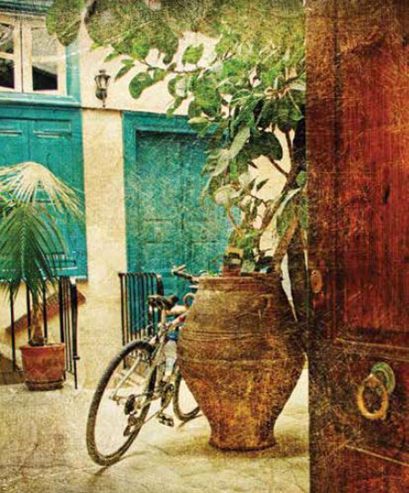 Ρόλερ με Ψηφιακή Εκτύπωση 'Vintage House' E524