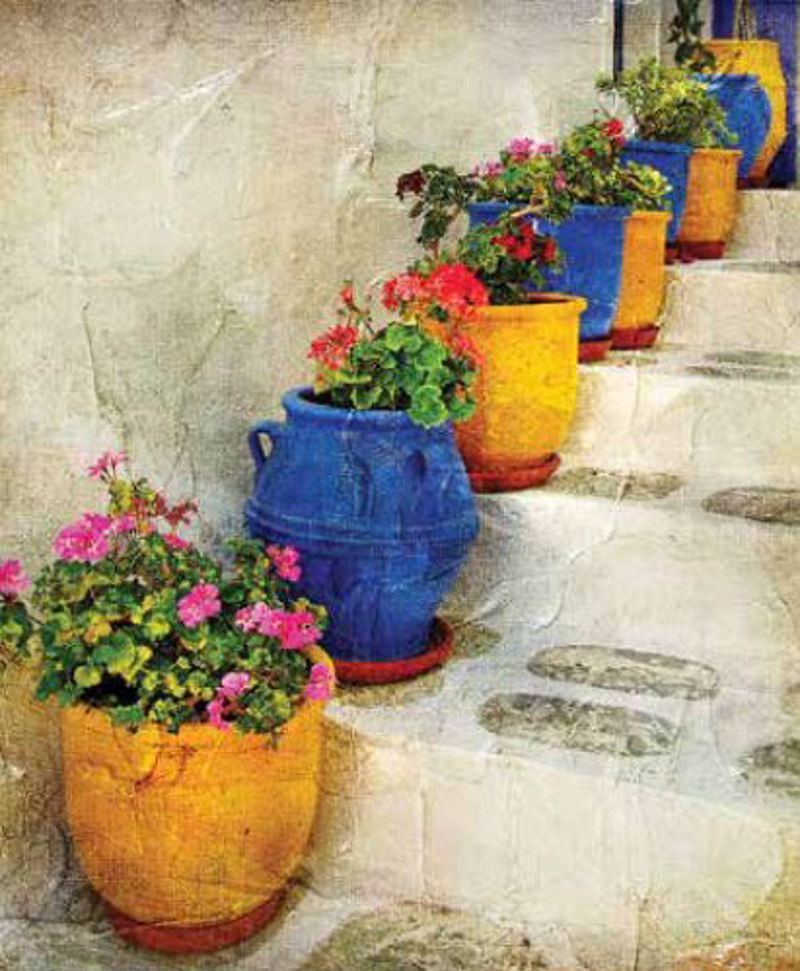 Ρόλερ με Ψηφιακή Εκτύπωση Σκαλοπάτια 'Have A Colorful D