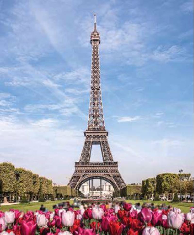 Ρόλερ με Ψηφιακή Εκτύπωση Παρίσι 'Eiffel Tower' E539