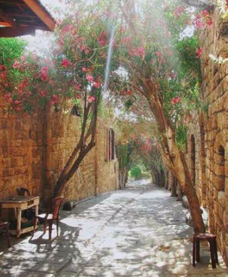 Ρόλερ με Ψηφιακή Εκτύπωση 'Πλακόστρωτο Σοκάκι' E540