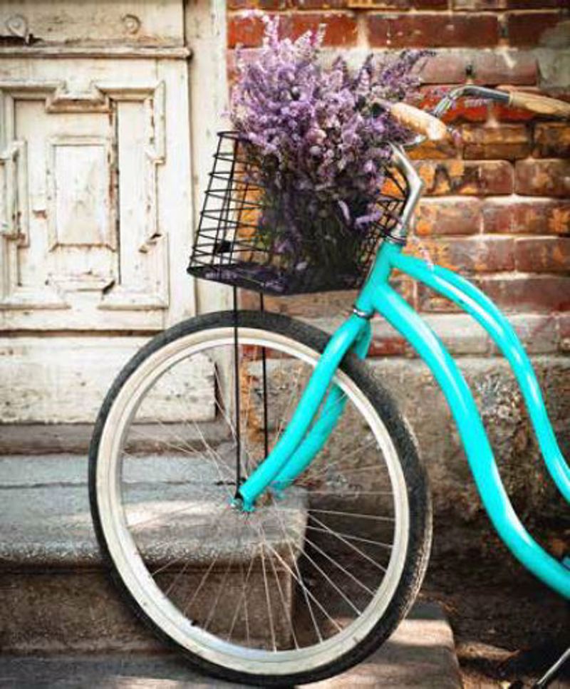 Ρόλερ με Ψηφιακή Εκτύπωση 'Vintage Ποδήλατο' E546