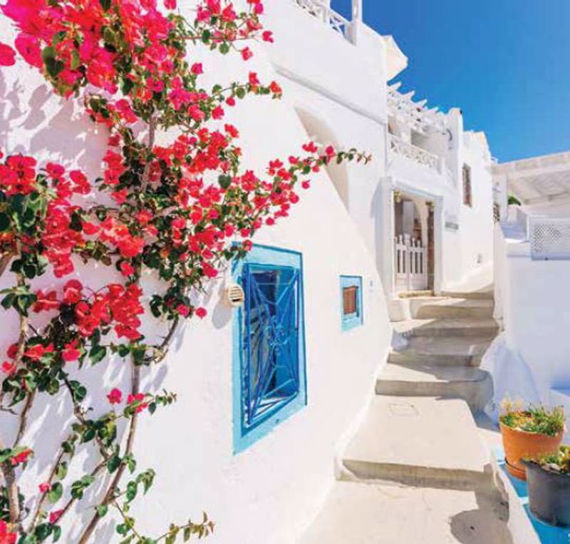 Ρόλερ με Ψηφιακή Εκτύπωση 'Σοκάκι Στο Νησί' E548