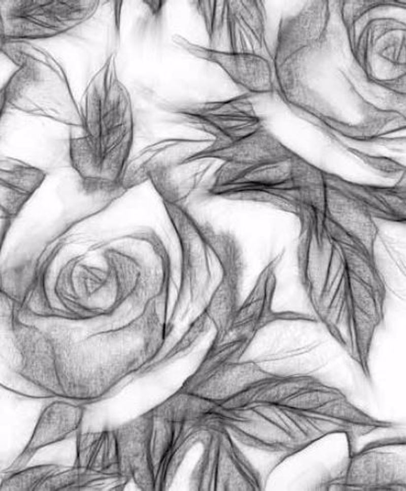 Κουρτίνες, στόρια agiovlasitishome - ΣΗΜΑΝΤΙΚΟ: Σε περίπτωση διαφοράς τιμής από το κατάστημα ισχύει παντα και μόνο η τιμή του καταστήματος Ρόλερ με Ψηφιακή Εκτύπωση Τριαντάφυλλα 'Pencil Sketch'