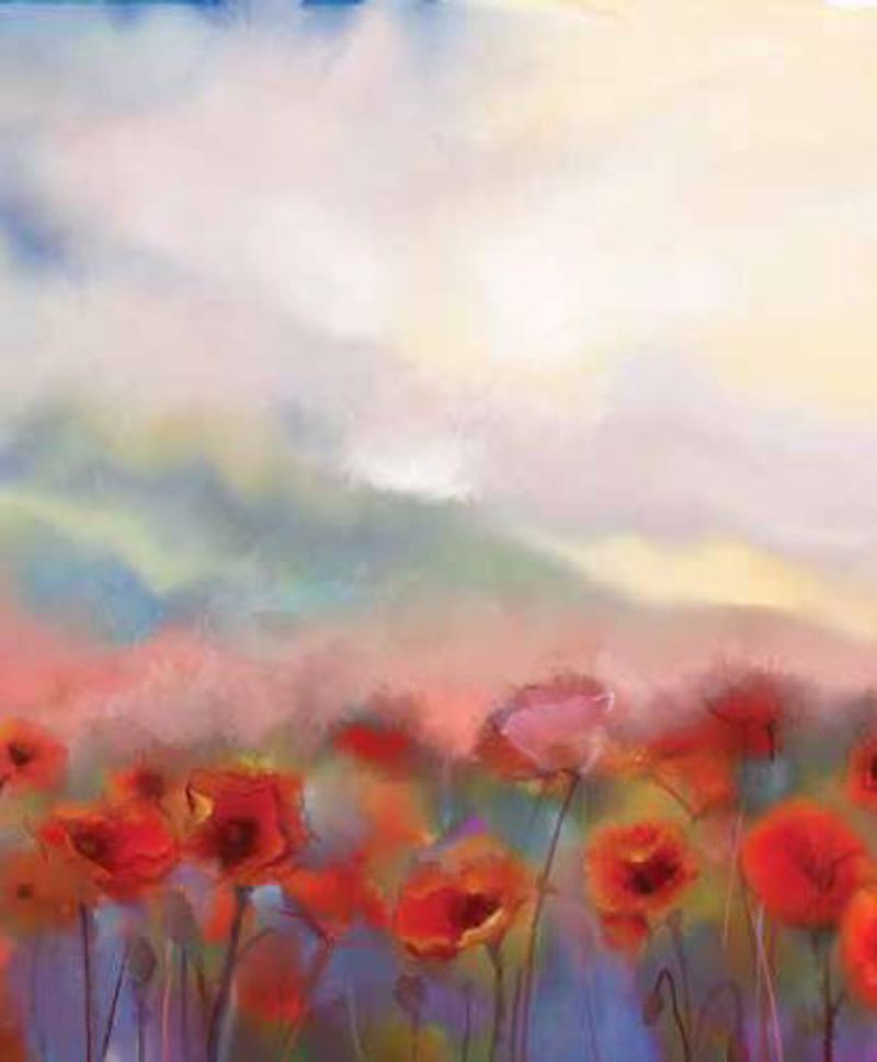 Κουρτίνες, στόρια agiovlasitishome - ΣΗΜΑΝΤΙΚΟ: Σε περίπτωση διαφοράς τιμής από το κατάστημα ισχύει παντα και μόνο η τιμή του καταστήματος Ρόλερ με Ψηφιακή Εκτύπωση 'Poppy Field' E565