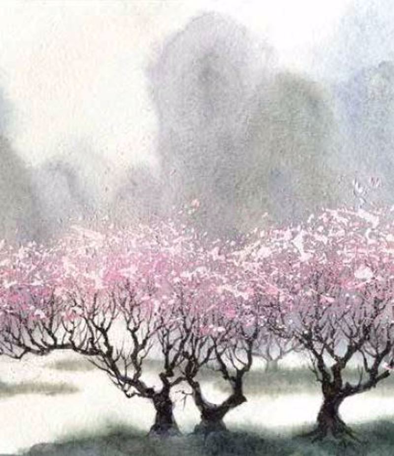 Κουρτίνες, στόρια agiovlasitishome - ΣΗΜΑΝΤΙΚΟ: Σε περίπτωση διαφοράς τιμής από το κατάστημα ισχύει παντα και μόνο η τιμή του καταστήματος Ρόλερ με Ψηφιακή Εκτύπωση Ανθισμένα Δέντρα 'Abstract Fi