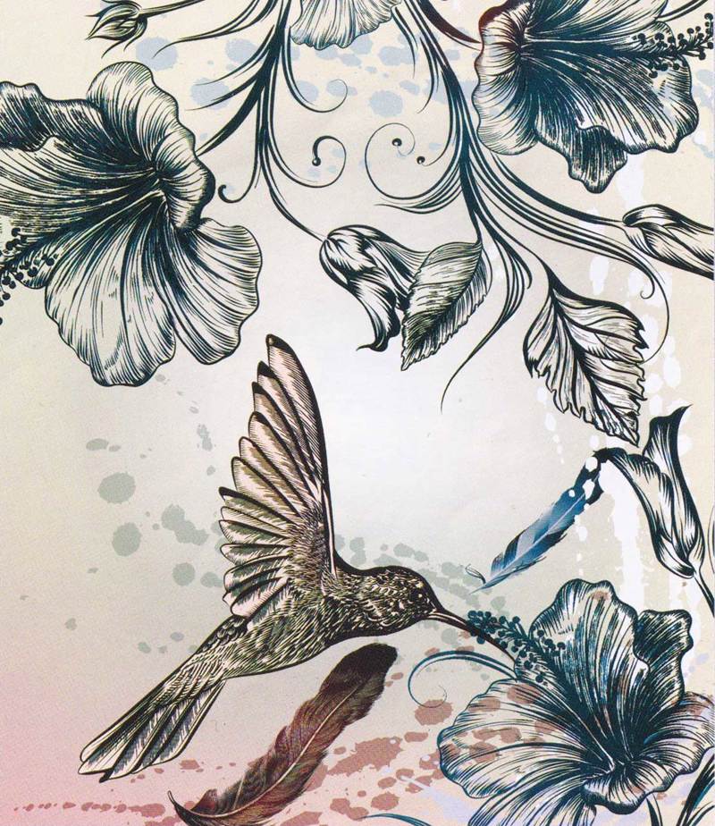 Κουρτίνες, στόρια agiovlasitishome - ΣΗΜΑΝΤΙΚΟ: Σε περίπτωση διαφοράς τιμής από το κατάστημα ισχύει παντα και μόνο η τιμή του καταστήματος Ρόλερ με Ψηφιακή Εκτύπωση 'Hummingbird' E570