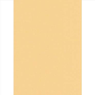 Elite Blinds Ρόλερ Μερικής Σκίασης Κίτρινο 'Carina' 7005-14 Elite Blinds Ρόλερ Μερικής Σκίασης Κίτρινο 'Carina' 7005-14