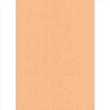 Elite Blinds Ρόλερ Μερικής Σκίασης Πορτοκαλί Ανοιχτό 'Carina' 7005-24 Elite Blinds Ρόλερ Μερικής Σκίασης Πορτοκαλί Ανοιχτό 'Carina' 7005-24