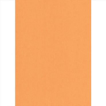 Elite Blinds Ρόλερ Μερικής Σκίασης Πορτοκαλί 'Carina' 7005-34 Elite Blinds Ρόλερ Μερικής Σκίασης Πορτοκαλί 'Carina' 7005-34