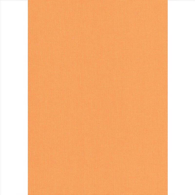 Κουρτίνες, στόρια agiovlasitishome - ΣΗΜΑΝΤΙΚΟ: Σε περίπτωση διαφοράς τιμής από το κατάστημα ισχύει παντα και μόνο η τιμή του καταστήματος Elite Blinds Ρόλερ Μερικής Σκίασης Πορτοκαλί 'Carina' 7