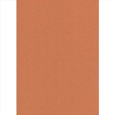 Elite Blinds Ρόλερ Μερικής Σκίασης Καφέ 'Carina' 7005-41 Elite Blinds Ρόλερ Μερικής Σκίασης Καφέ 'Carina' 7005-41