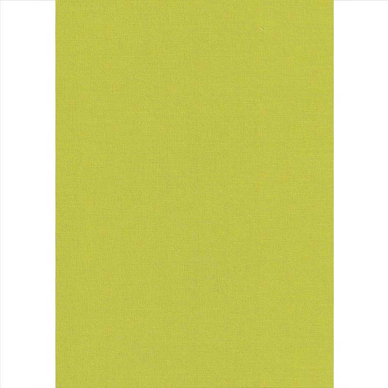 Elite Blinds - ΣΗΜΑΝΤΙΚΟ: Σε περίπτωση διαφοράς τιμής από το κατάστημα ισχύει παντα και μόνο η τιμή του καταστήματος Elite Blinds Ρόλερ Μερικής Σκίασης Ανοιχτό Πράσινο 'Car