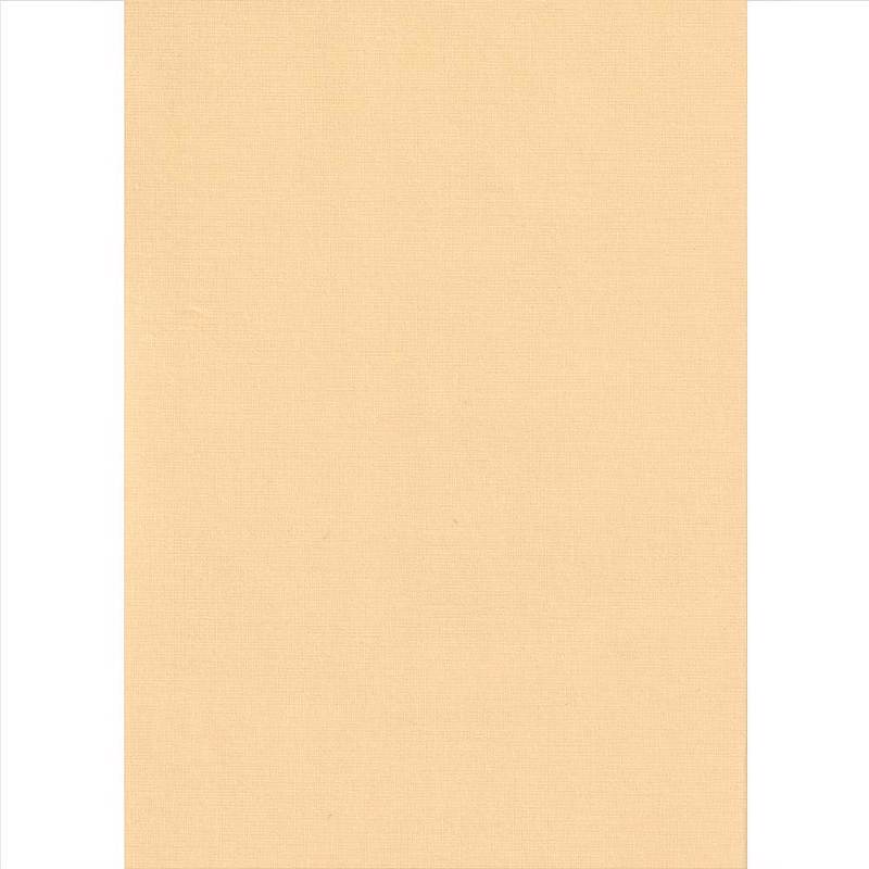 Elite Blinds Ρόλερ Μερικής Σκίασης Διάφανο 'Swed Plain'