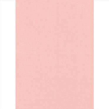 Elite Blinds Ρόλερ Μερικής Σκίασης Σομόν 'Swed Plain' 7007-240 Elite Blinds Ρόλερ Μερικής Σκίασης Σομόν 'Swed Plain' 7007-240