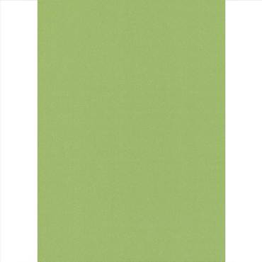 Elite Blinds Blackout Ρόλερ Πράσινο 'Diamond' 7010-65