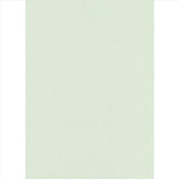 Elite Blinds Blackout Ρόλερ Αντιθερμικό με Ανακλαστική Πλάτη Αλουμινίου 7440-05