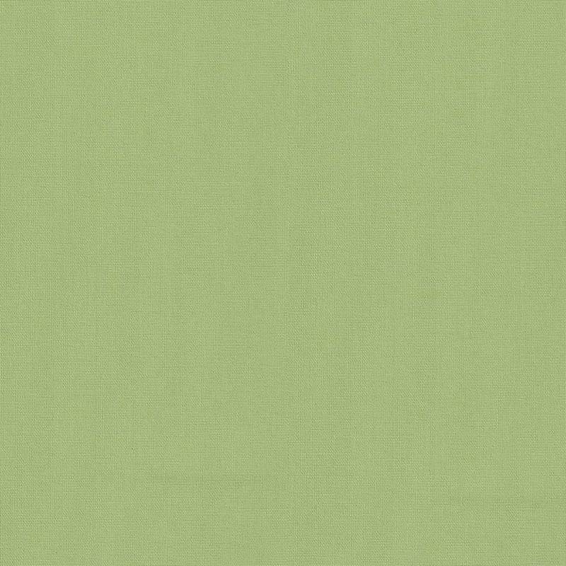 Ρόλερ 1370.3942 μονόχρωμο λαχανί