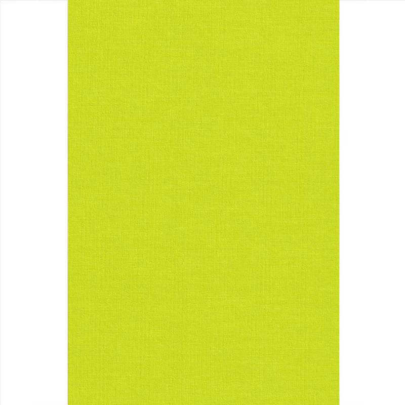 Ramino Ρόλερ Σκίασης Premium Lime Green 70012-007