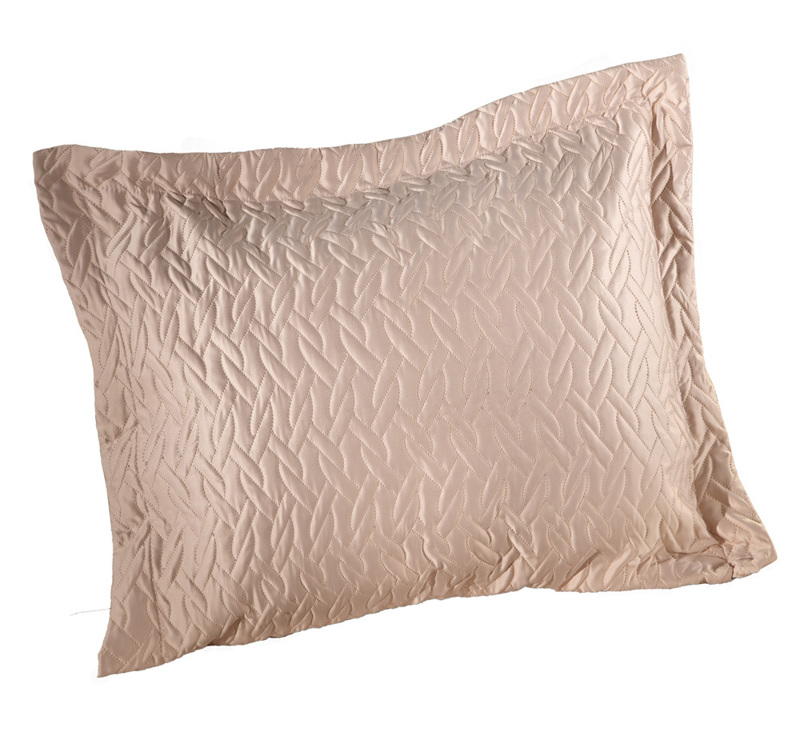 Μαξιλάρια διακοσμητικά agiovlasitishome - ΣΗΜΑΝΤΙΚΟ: Σε περίπτωση διαφοράς τιμής από το κατάστημα ισχύει παντα και μόνο η τιμή του καταστήματος Guy Laroche Μαξιλαράκι διακοσμητικό PAVILON Amethyst 40