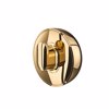 Tiger Cooper Aggistro large Polished gold 800556