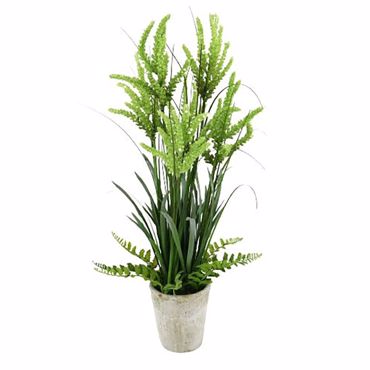 InTheBox - Maison TARRIETA Τεχνητό Φυτό PVC Πράσινο σε Μπεζ Κασπώ PE 28x25x74cm 027236