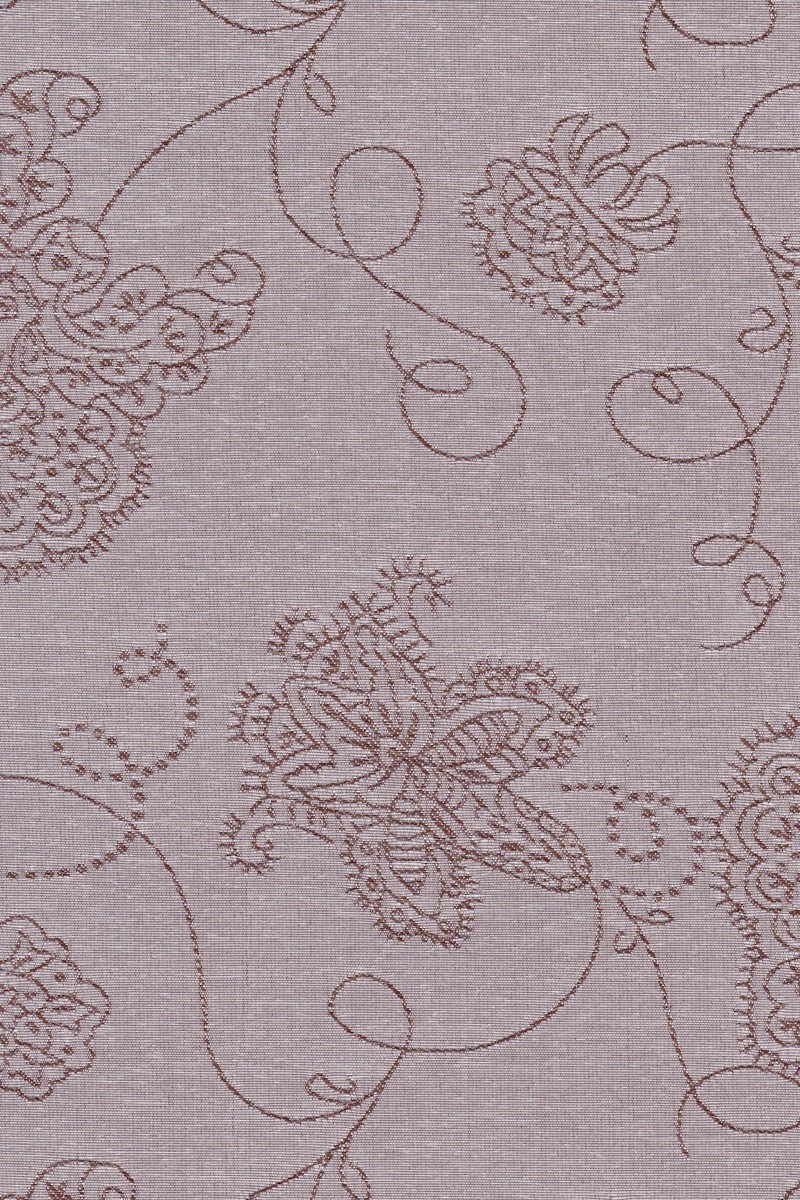 Κοντομάνικο Anarchy Bear