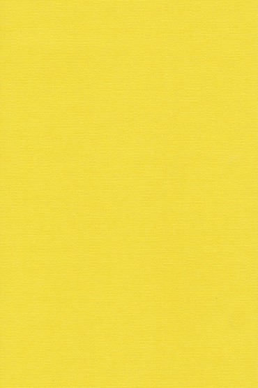 Blackout Ρόλερ 2015 κίτρινο μονόχρωμο