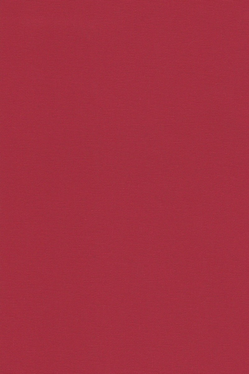 Blackout Ρόλερ 2019 κόκκινο μονόχρωμο