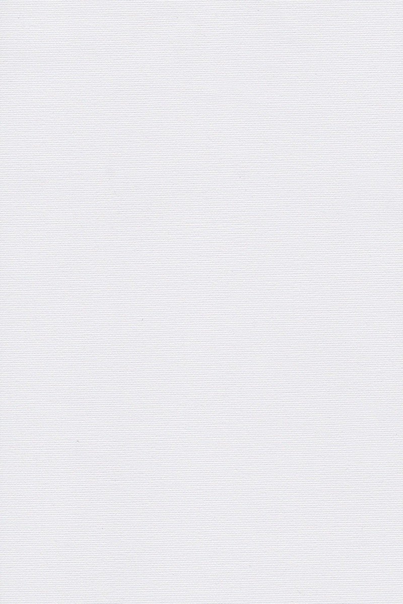 Blackout Ρόλερ 2001 λευκό μονόχρωμο