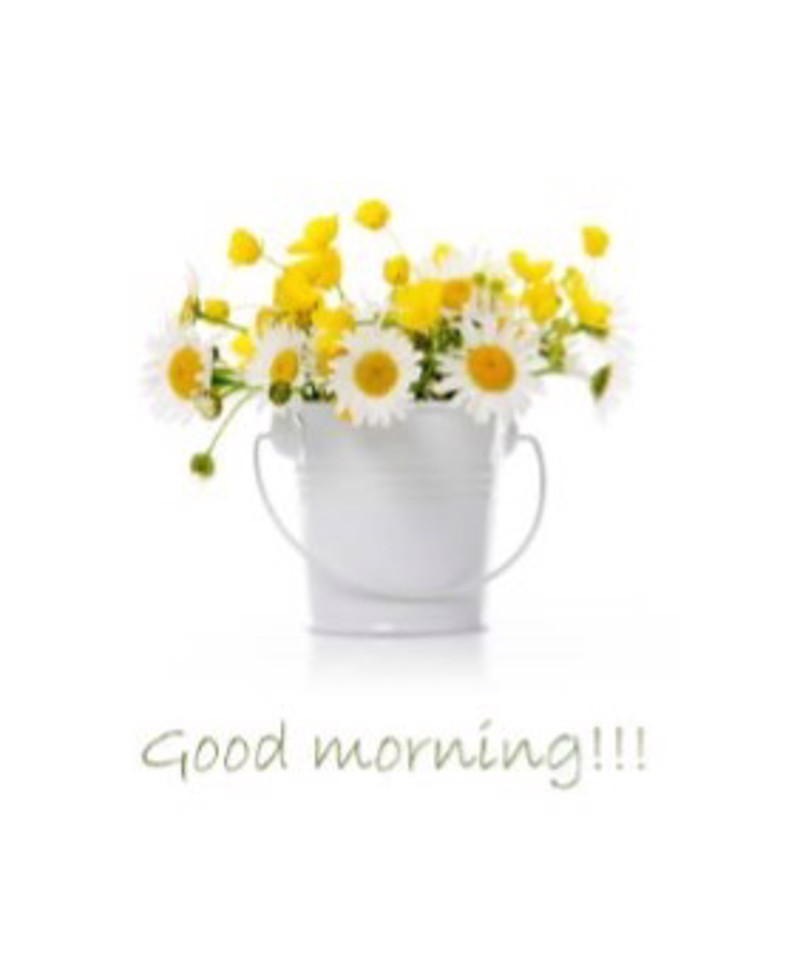 Ρόλερ 010.112.010 ψηφιακή εκτύπωση good morning