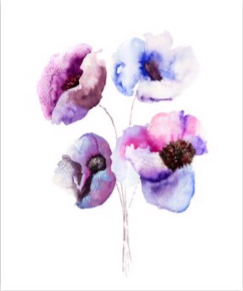 ΡΟΛΕΡ ΜΕ ΨΗΦΙΑΚΗ ΕΚΤΥΠΩΣΗ 'ΛΟΥΛΟΥΔΙΑ' E192