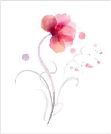 ΡΟΛΕΡ ΜΕ ΨΗΦΙΑΚΗ ΕΚΤΥΠΩΣΗ 'ΛΟΥΛΟΥΔΙΑ' E195